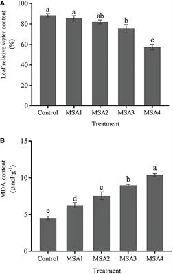 Genes related to osmoregulation and antioxidation play important roles in the response of Trollius chinensis seedlings to saline-alkali stress